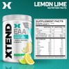 Scivation Scivation XTEND EAA + BCAA Powder | Muscle Recovery