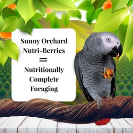 LAFEBER'S Sunny Orchard Nutri-Berries Pet Bird Food, Made with Non-GMO and Human-Grade Ingredients, for Parrots, 14 lb