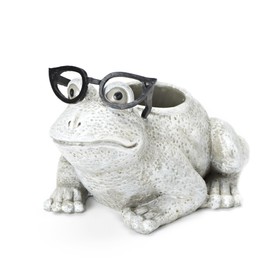 Roman Exclusive White Frog Wearing Silly Black Spectacles Planter, 6-Inch, Made of Dolomite/Resin
