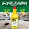 Simoniz Magic Carpet 32 oz Ready-to-Use Spot Cleaner & Pre-Spray