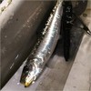 Shimano XM-099P Exsence Silent Assassin Sea Bass Lure, Minnow, 99SP,