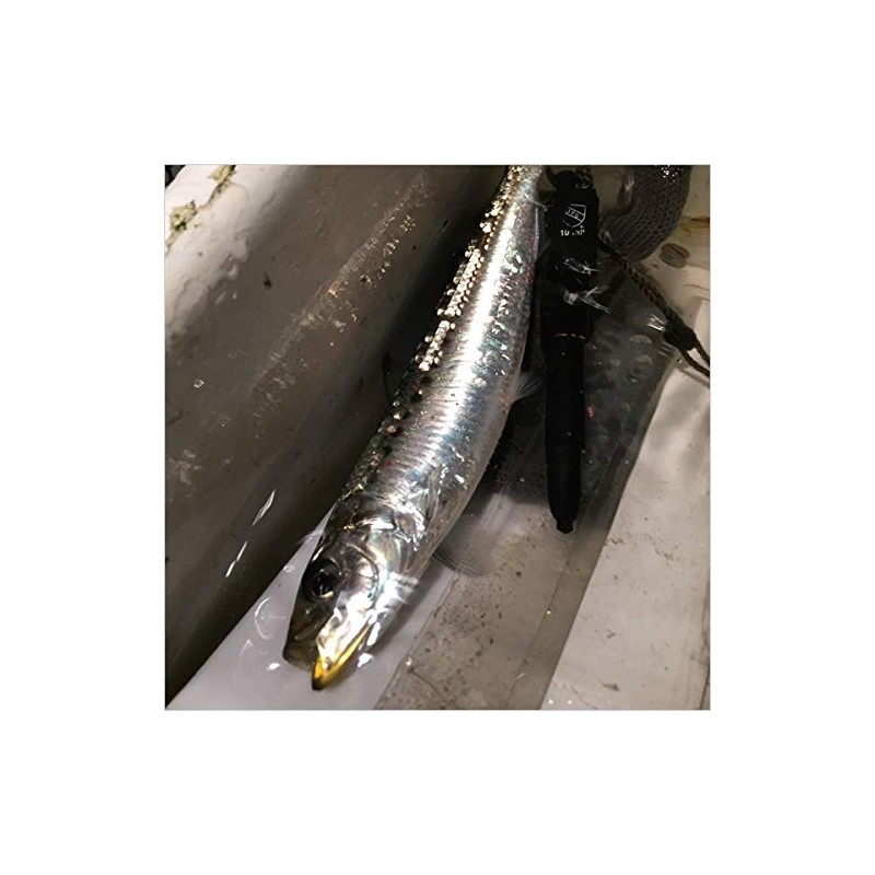 Shimano XM-099P Exsence Silent Assassin Sea Bass Lure, Minnow, 99SP,