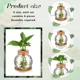 Baderke 6 Packs Propagation Vases for Plants Plastic Plant Propagation Station with Hole Lid and Cork Coasters Plant Growing in Water Hydroponic Home Office Table Decoration(Fish Bowl Style)