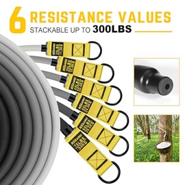 Bandas de resistencia pesada, bandas de ejercicio de 300 libras con asas, bandas de fitness para entrenamiento, juego de bandas de entrenamiento con a