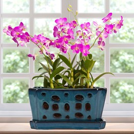 Teenyyou 1 Set Orchid Pot with Holes 9.5 Inch Ceramic Orchid Pot with Saucers for Repotting Amaryllis Flower Planter Include Gardening Shovel Set and Gloves for Home Decor(Blue)