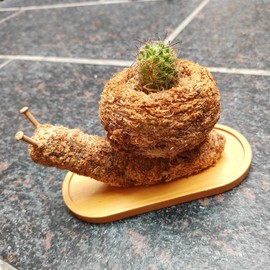 Snail Succulent Pot for Garden Yard Patio, Sphagnum Moss for Plants, Natural, for Succulent Plant, Carnivorous Plant, Terrarium, Garden Decoration,Cute Small Mini Flower Pot with Drainage Outdoor