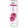 Echinacea Toothpaste A.Vogel 100 g