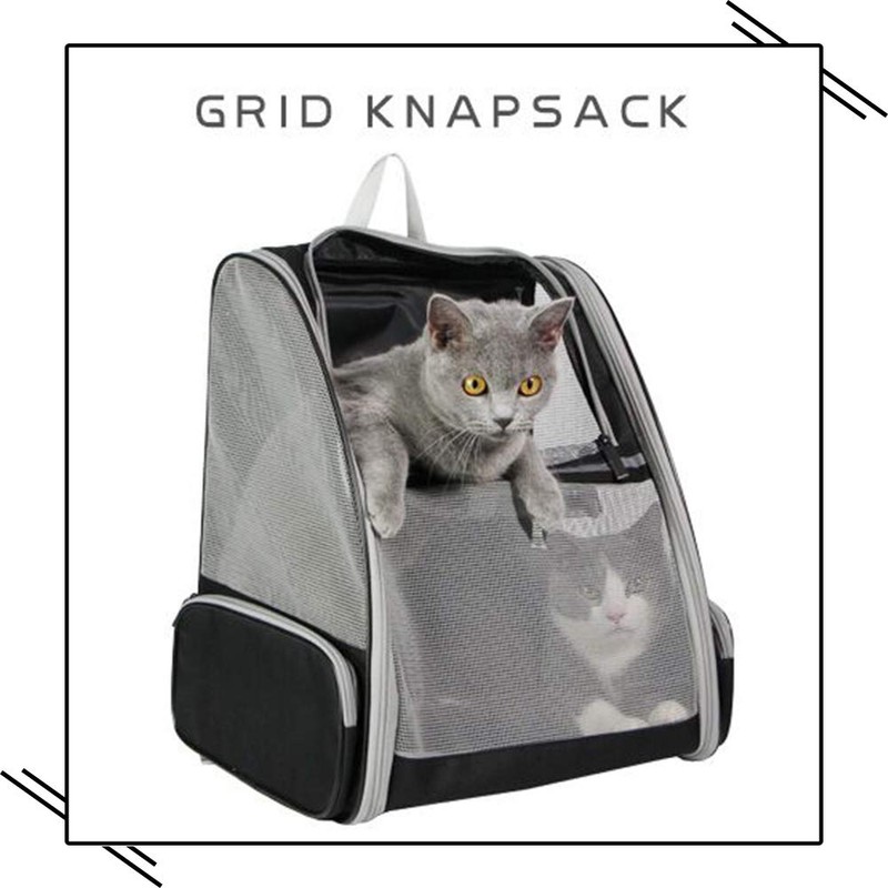 Texsens Innovative Traveler Bubble Backpack Pet Carriers for Cats and