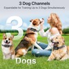 Dog Training Collar with Remote, Electric Dog Collar for Larege