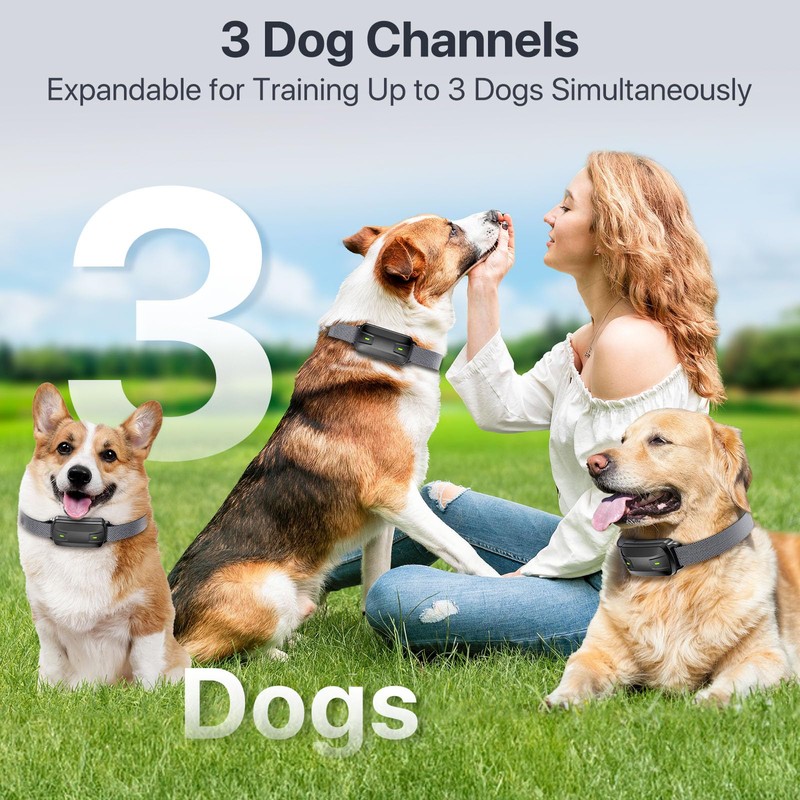 Dog Training Collar with Remote, Electric Dog Collar for Larege