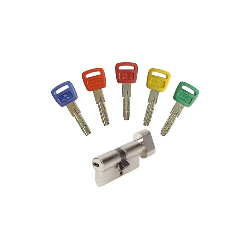 Bricard Olympia 30+30 Knob Cylinder with 5 Keys Silver