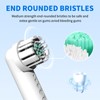 Toothbrush Replacement Heads for Quip 360 Oscillating Electric Toothbrush
