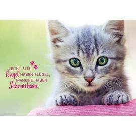 Gutsch Verlag Animal Postcard with Cute Cat Motif - Not All Angels Have Wings, Some Have Whiskers - High Quality, Ideal for Gifting and Decorating
