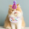 Dog, Birthday, Hat, Bandana, Pet Decoration, 3-Piece Set, Cat Birthday
