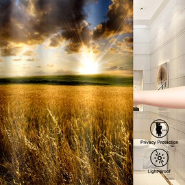 Golden Wheat Fields Shower Curtain Rustic Farmland Rye Sun Shine Nature Landscape Theme for Kids Bathroom Decor Cloth Fabric Sets with Hooks Waterproof Washable 72 x 72 Inches Golden Green and White