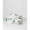 Lenox 893565 Balsam Lane 12-Piece Dinnerware Set Green