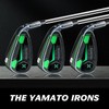 Men's Golf Iron Set, Right-Handed (PW, Stainless Steel Shaft)