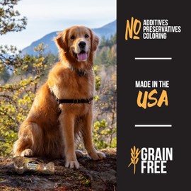 Grillerz Large Pork Bone, 1 Count, Rawhide Free, All Natural Treat for All Breeds, Long Lasting, Easy to Digest, Dog Bone for Large Dogs, Dog Chew for Healthy Teeth