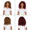 Garnier Nutrisse Ultra Color Nourishing Hair Color Creme, R3 Light