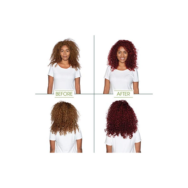 Garnier Nutrisse Ultra Color Nourishing Hair Color Creme, R3 Light