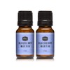 P&J Trading Fragrance Oil | Blueberry Muffin Oil 10ml 2pk