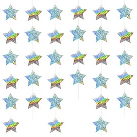 regalo Sparkly Garland, Heart, Star, Birthday, Wedding, Party, Event (Star SILVER)