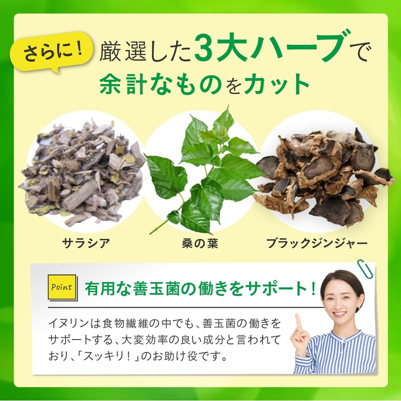 ビオナス イヌリン 61,000mg 菊芋 乳酸菌 配合 ヨーグルト風味 タブレット | 菊芋