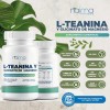 Teanina Glicinato Magnesio 500 100 Cápsulas