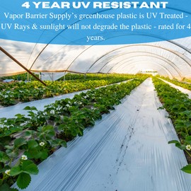 Vapor Barrier Supply - Clear Greenhouse Plastic Sheeting - 6 mil - 4 Year UV Resistant Polyethylene Greenhouse Film, Hoop House Green House Cover for Gardening, Farming (28' x 40')