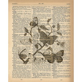 Sunshine Mountain Tees Dictionary Print - Butterflies on Branches Upcycled Vintage Dictionary Page Poster - Size 8x10