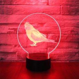 Hguangs 3D Optical Illusion Night Light 7 Colors Changing Touch Control Birthday Christmas Gifts Party Office Home Bedroom Decoration (Parrot Shape)
