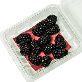 Moisture Absorbent Pads for Fruit and Microgreen Plastic Clamshell Containers – Pack of 100 – 3.25” x 3.25” – Fits Pint and Half Pint Clamshell Containers