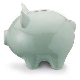 Mousehouse Gifts - Cute Piggy Bank Piggy Bank for Kids, Girls/Boys to Save Pennies! (Blue, M)