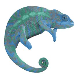 12" Chameleon #1 Wall Decal! Sticker Graphic Removable Reusable HD Animal Kids Room Lizard Reptile Disappear Blend Colors Photo for Home, Office, Nursery Decor