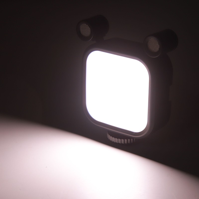 Stereo Microphone Light 10 Levels Brightness Dual Mic Fill Lamp