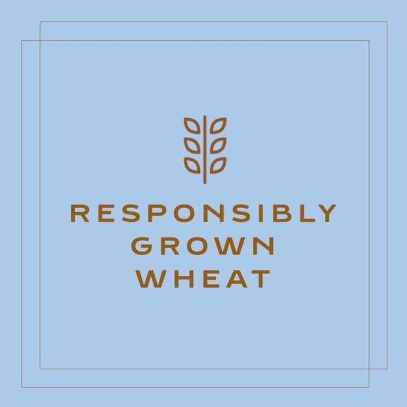 Bahlsen Leibniz Butter Biscuit Cookies (6 boxes) | Our classic