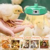 Chick Brooder Heating Plate,Brooder Heater For Chicks,500W Poultry Heat Lamp