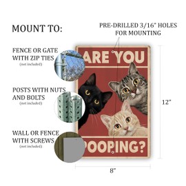 Funny Cat Sign - 8x12 Inch 'Are You Pooping?' Wall Art with Cats Staring - Perfect for Bathroom Decor, Humorous Gift