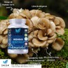 Hongo Maitake Orgánico Con 120 Cápsulas Saisa Herbal
