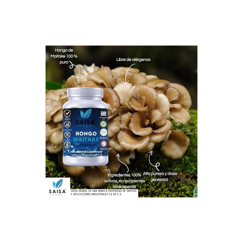 Hongo Maitake Orgánico Con 120 Cápsulas Saisa Herbal