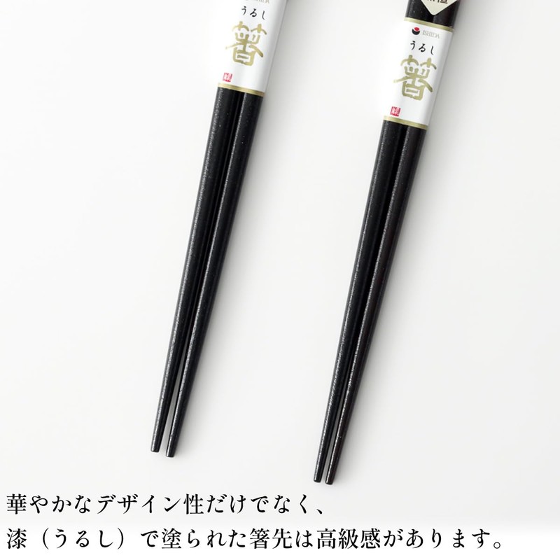 Couples Chopsticks Pair Kamakura Turtle Shell Paulownia Box Included [Mizuhiki