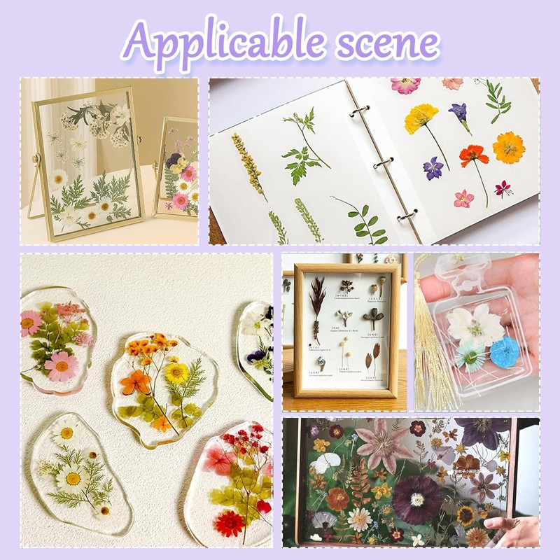 Neyeau Flower Press,Flowerpress for Adults,Practical Miniature Flower Press Set,Suitable for