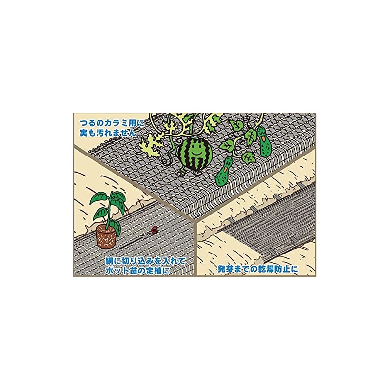 Daio Kasei Straw Irazu BSG 3.3 x 32.8 ft (1