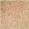 Grain Place Foods | Non-GMO Organic Hulled Barley | Made