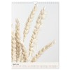 Dried Flowers (Wall Calendar 2026 DIN A4 portrait), CALVENDO 12