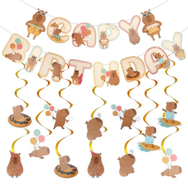 14pcs Capybara Birthday Party Decorations, Capybara Hanging Swirls Decor for