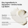 The Ordinary Squalane + Amino Acids Hydrating Lip Balm, for