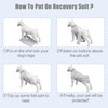 FEimaX Dog Bodysuit After Surgery Wound Protection Suits for Dogs