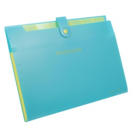 TEHAUX Reinforced Plastic Accordion Folder with Snap Closure 8 Pockets for Office School Travel Document Organizer