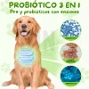 Suplemento Alimenticio Perro Probióticos Enzimas Digestivas